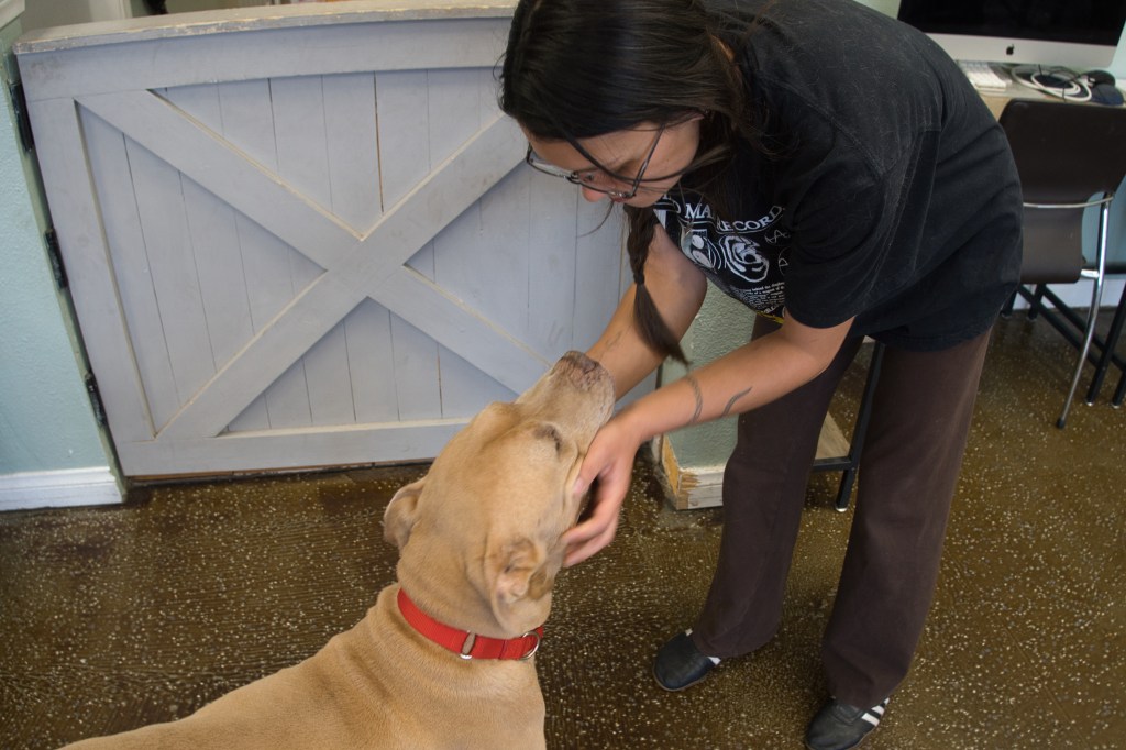 Kendall Stevens, co-founder of Hearts Alive Village playing with a dog