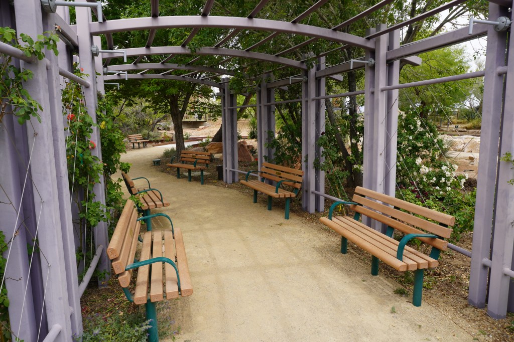 Beyond the neon, roses and more thrive in the botanical gardens at the Springs&nbsp;Preserve